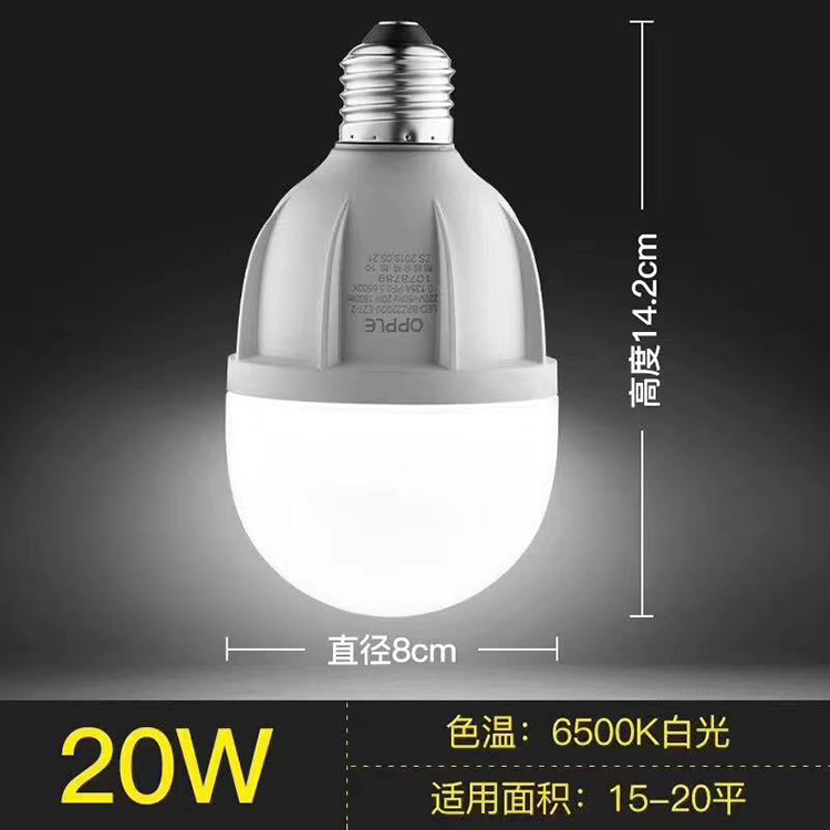 LED球泡-心悅Ⅱ代-T80-20W-E27-6500K.jpg